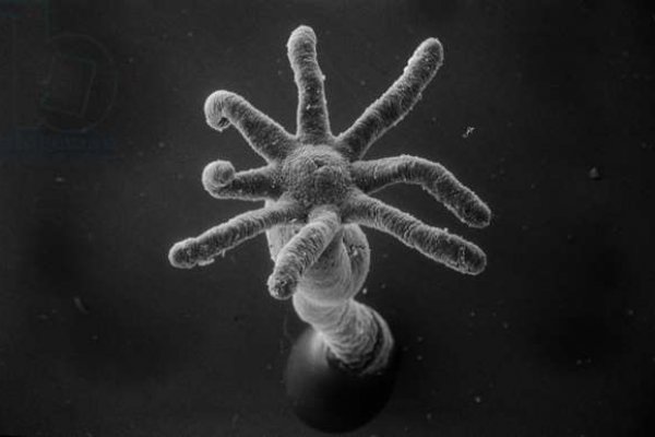 Craken14 at