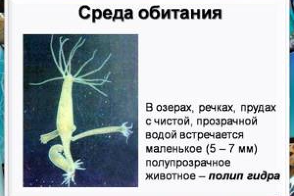 Кракен сайт юнион