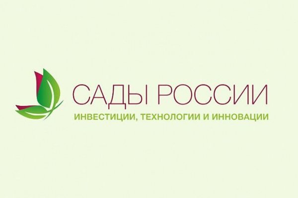 Кракен браузер