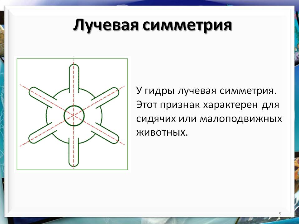 Кракен как зайти