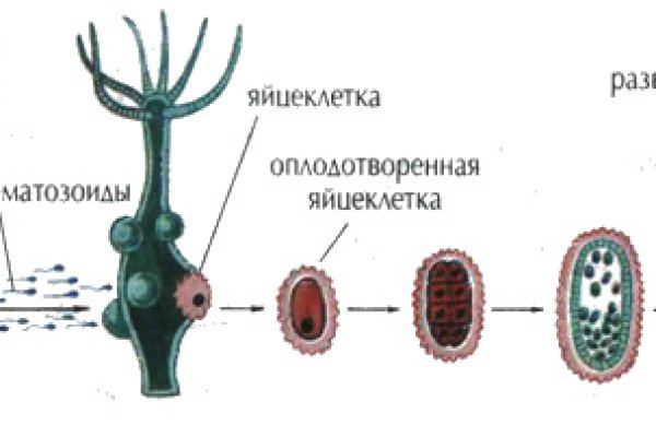 Кракен сайт kr2web