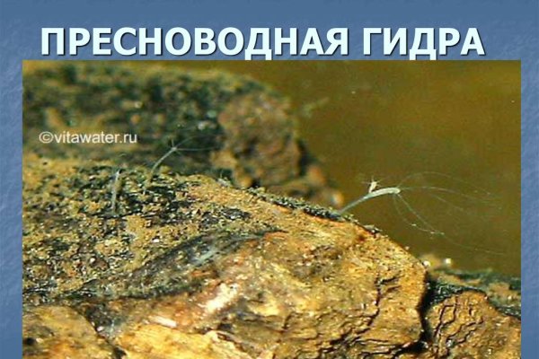 Кракен маркетплейс в тг