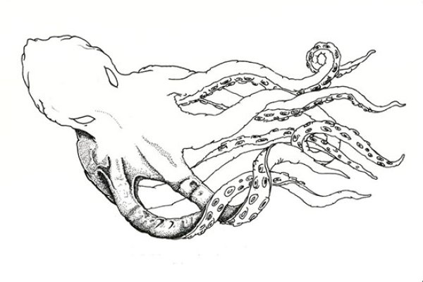 Kraken mirror
